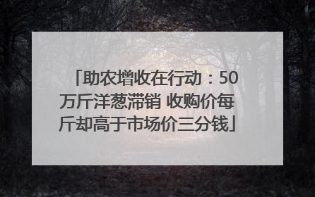 助农增收在行动：50万斤洋葱滞销 收购价每斤却高于市场价三分钱