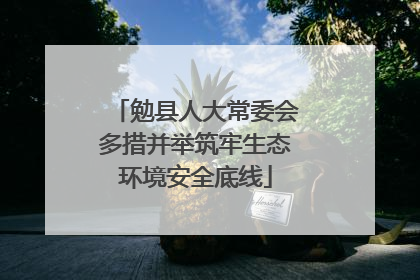勉县人大常委会多措并举筑牢生态环境安全底线