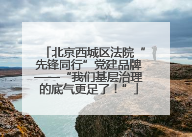 北京西城区法院“先锋同行”党建品牌——“我们基层治理的底气更足了！”