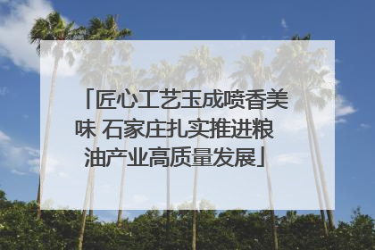 匠心工艺玉成喷香美味 石家庄扎实推进粮油产业高质量发展
