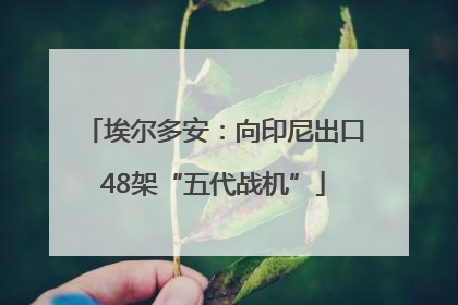 埃尔多安：向印尼出口48架“五代战机”