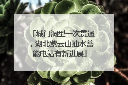 城门洞型一次贯通，湖北紫云山抽水蓄能电站有新进展