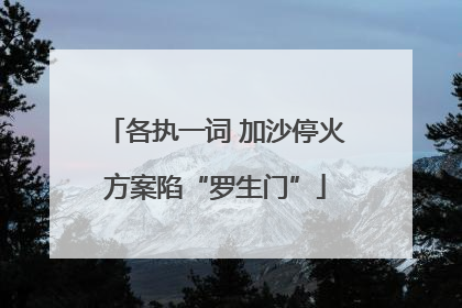 各执一词 加沙停火方案陷“罗生门”