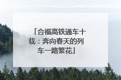 合福高铁通车十载：奔向春天的列车一路繁花