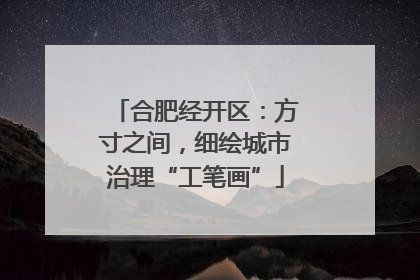合肥经开区：方寸之间，细绘城市治理“工笔画”