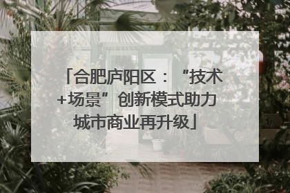 合肥庐阳区：“技术+场景”创新模式助力城市商业再升级