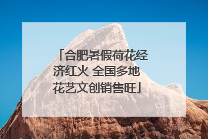 合肥暑假荷花经济红火 全国多地花艺文创销售旺