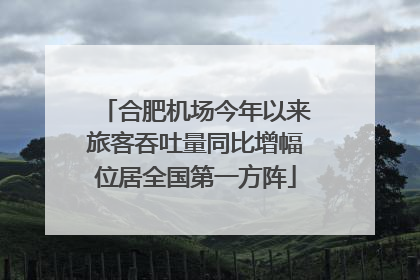 合肥机场今年以来旅客吞吐量同比增幅位居全国第一方阵