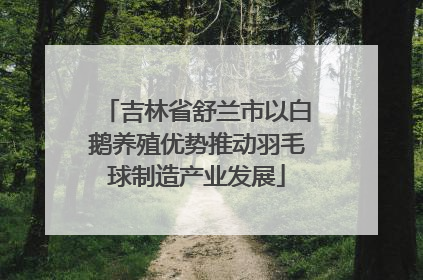 吉林省舒兰市以白鹅养殖优势推动羽毛球制造产业发展