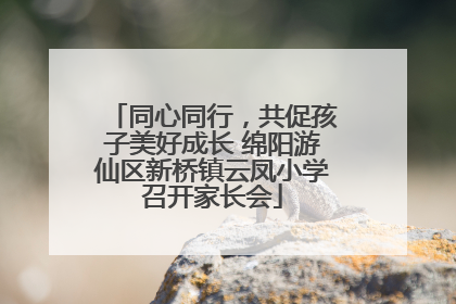 同心同行，共促孩子美好成长 绵阳游仙区新桥镇云凤小学召开家长会