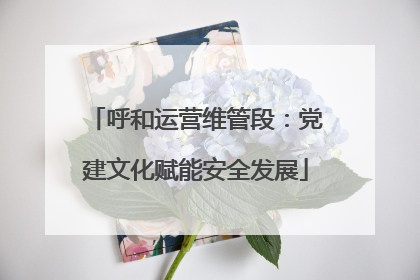 呼和运营维管段：党建文化赋能安全发展