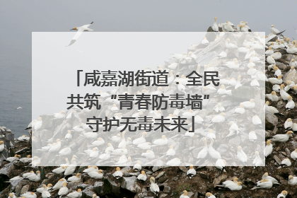 咸嘉湖街道：全民共筑“青春防毒墙” 守护无毒未来