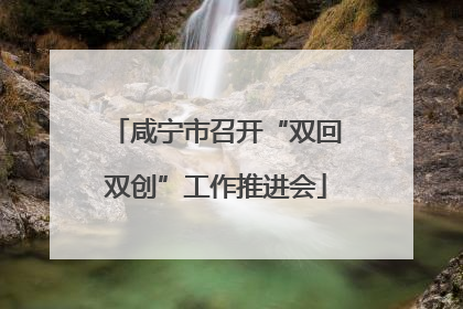 咸宁市召开“双回双创”工作推进会