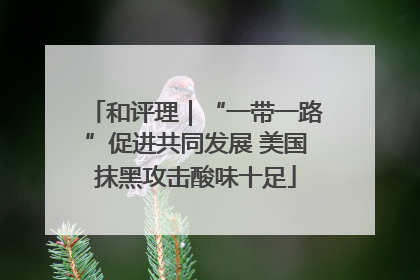 和评理｜“一带一路”促进共同发展 美国抹黑攻击酸味十足