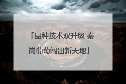 品种技术双升级 秦岗葡萄闯出新天地