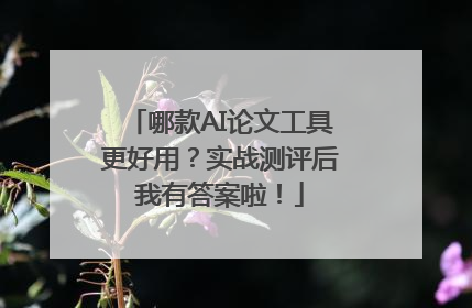 哪款AI论文工具更好用？实战测评后我有答案啦！
