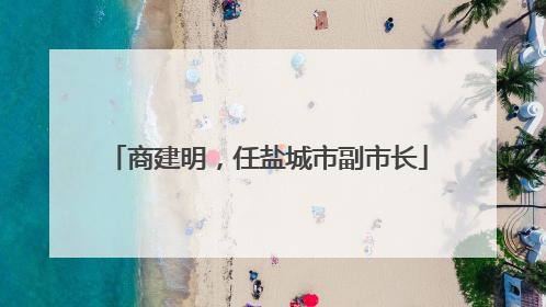 商建明，任盐城市副市长