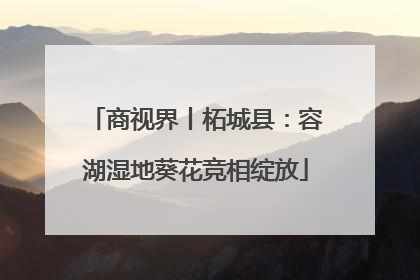 商视界丨柘城县：容湖湿地葵花竞相绽放