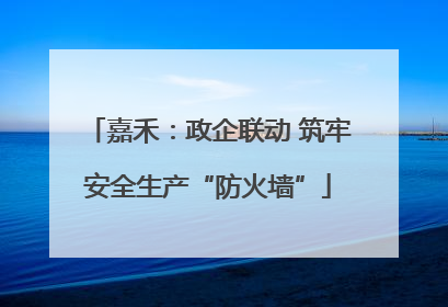 嘉禾：政企联动 筑牢安全生产“防火墙”