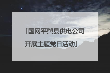 国网平舆县供电公司开展主题党日活动