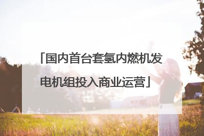 国内首台套氢内燃机发电机组投入商业运营