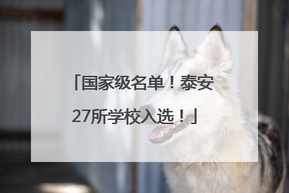 国家级名单！泰安27所学校入选！