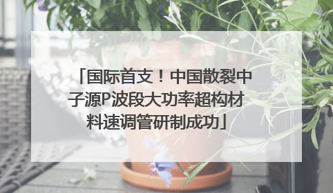 国际首支！中国散裂中子源P波段大功率超构材料速调管研制成功