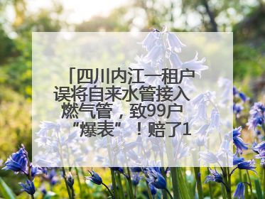 四川内江一租户误将自来水管接入燃气管，致99户“爆表”！赔了1.5万