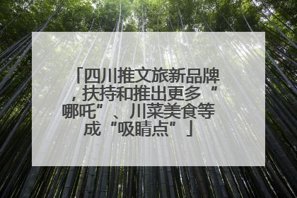 四川推文旅新品牌，扶持和推出更多“哪吒”、川菜美食等成“吸睛点”