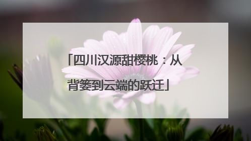 四川汉源甜樱桃：从背篓到云端的跃迁