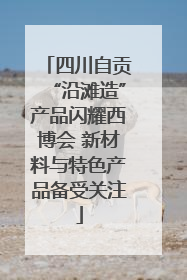 四川自贡“沿滩造”产品闪耀西博会 新材料与特色产品备受关注