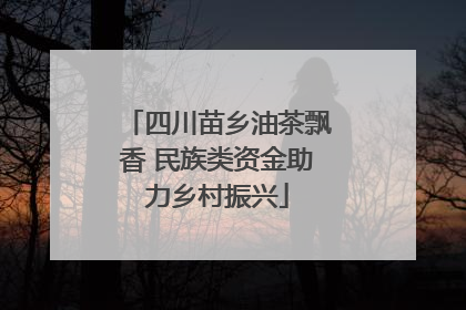 四川苗乡油茶飘香 民族类资金助力乡村振兴
