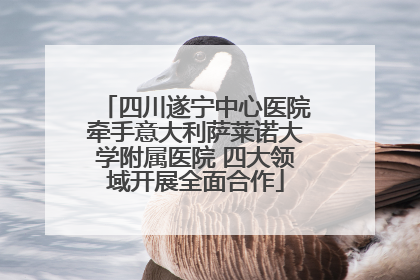 四川遂宁中心医院牵手意大利萨莱诺大学附属医院 四大领域开展全面合作