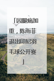 因腿痛加重，陈雨菲退出印尼羽毛球公开赛