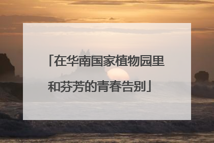 在华南国家植物园里和芬芳的青春告别
