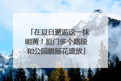 在夏日邂逅这一抹明黄！厦门多个路段和公园腊肠花盛放