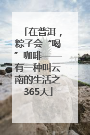 在普洱，粽子会“喝”咖啡——有一种叫云南的生活之365天