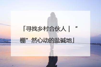 寻找乡村合伙人｜“棚”然心动的盐碱地