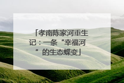 孝南陈家河重生记：一条“幸福河”的生态蝶变