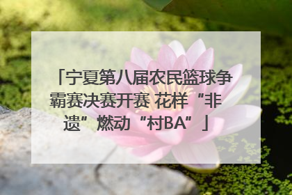 宁夏第八届农民篮球争霸赛决赛开赛 花样“非遗”燃动“村BA”