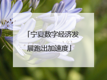 宁夏数字经济发展跑出加速度