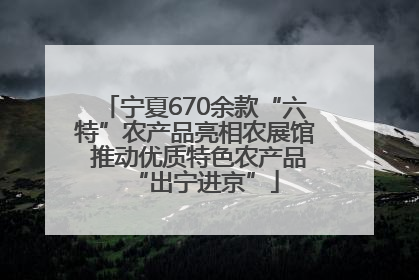 宁夏670余款“六特”农产品亮相农展馆 推动优质特色农产品“出宁进京”