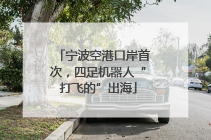 宁波空港口岸首次,四足机器人“打飞的”出海