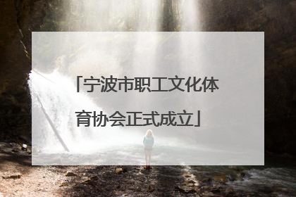 宁波市职工文化体育协会正式成立