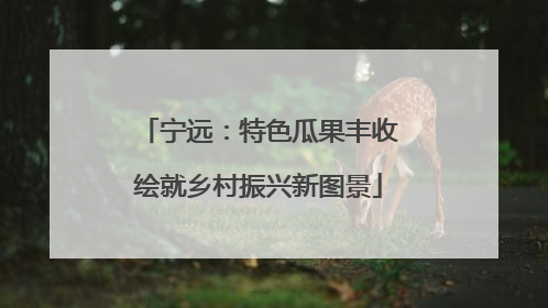宁远：特色瓜果丰收绘就乡村振兴新图景