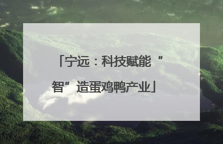 宁远：科技赋能“智”造蛋鸡鸭产业