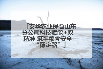 安华农业保险山东分公司科技赋能+双精准 筑牢粮食安全“稳定器”