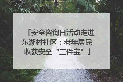 安全咨询日活动走进东湖村社区：老年居民收获安全“三件宝”