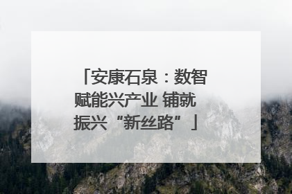 安康石泉：数智赋能兴产业 铺就振兴“新丝路”