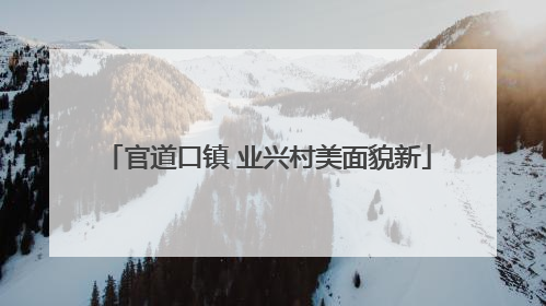 官道口镇 业兴村美面貌新
